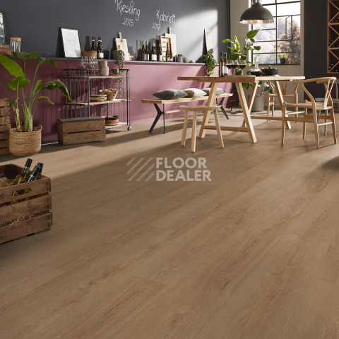Kronotex Exquisit 8мм d41212 Дуб Горизонт шоколад фото 2 | FLOORDEALER